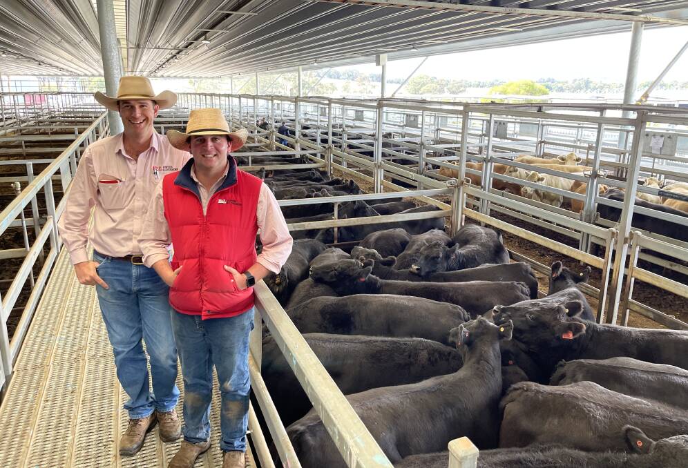 SALE TIME: Local Bowyer and Livermore agents Todd Clements and Tom Card were at the coalface at last weeks CTLX store cattle sale. Photo: BROCK SYPHERS