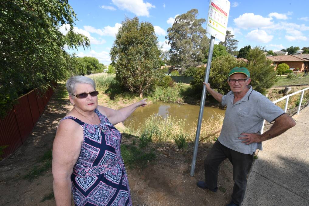 NOT GOOD ENOUGH: Johanna van de Vorstenbosch and her husband Tony, pictured at Hawthornden Creek, which they say is now attracting snakes and insects, such as millipedes and mosquitoes. Photo: CHRIS SEABROOK 120518creek