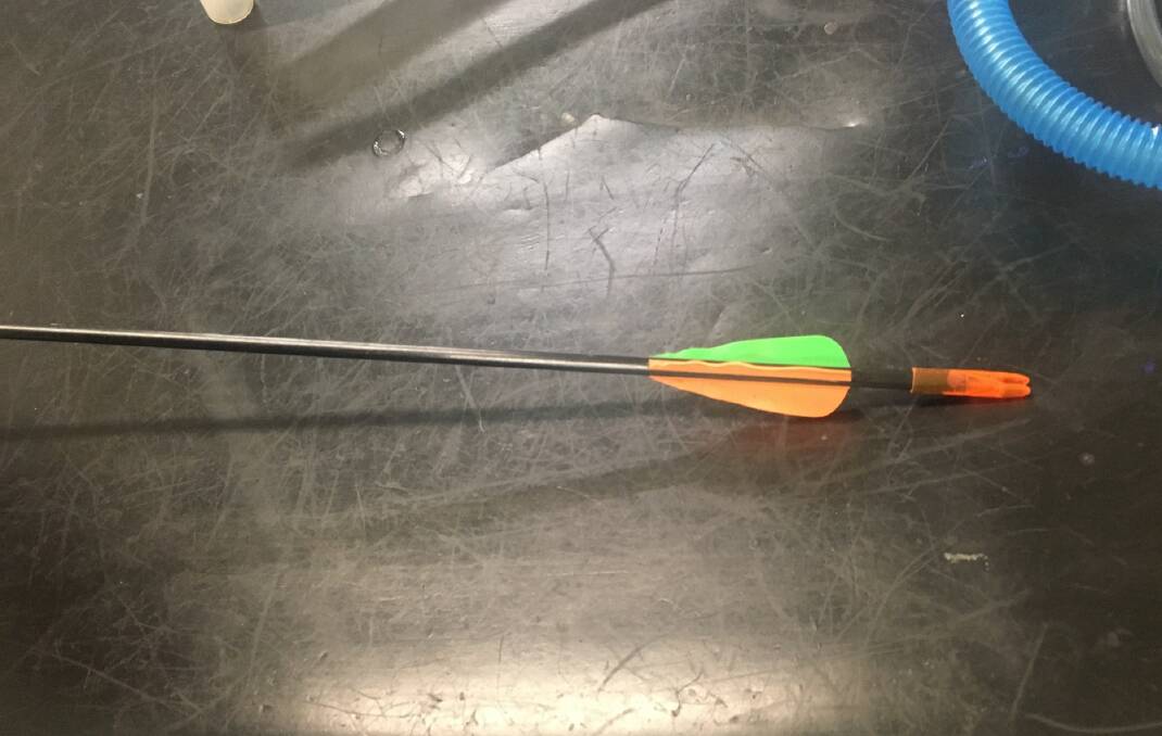 'SENSELESS': A magpie appears to have been deliberately shot with an arrow. Photo: SUPPLIED