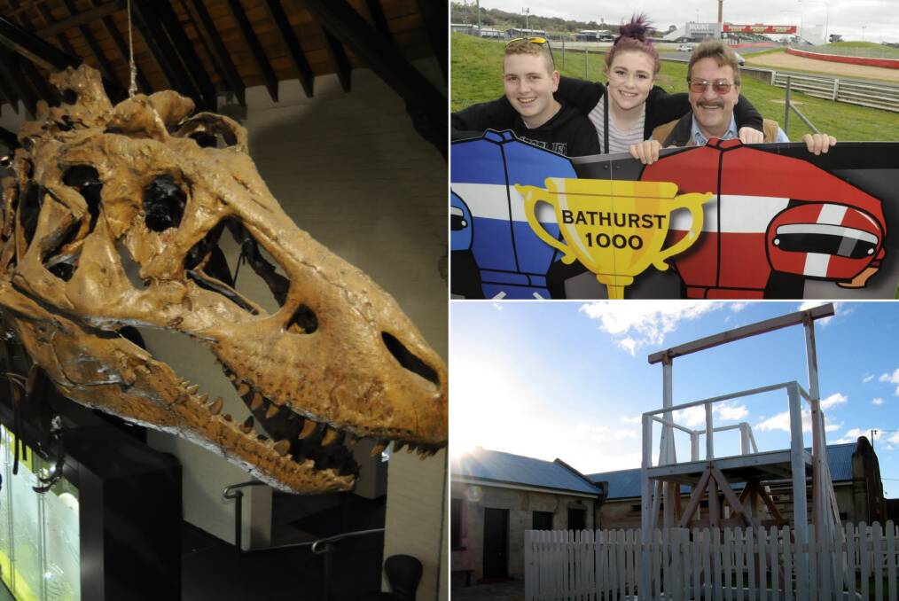 TOP PICKS: The Australian Fossil and Mineral Museum, the National Motor Racing Museum and Old Dubbo Gaol are three of the six attractions that have been picked for a potential multi-pass scheme. 