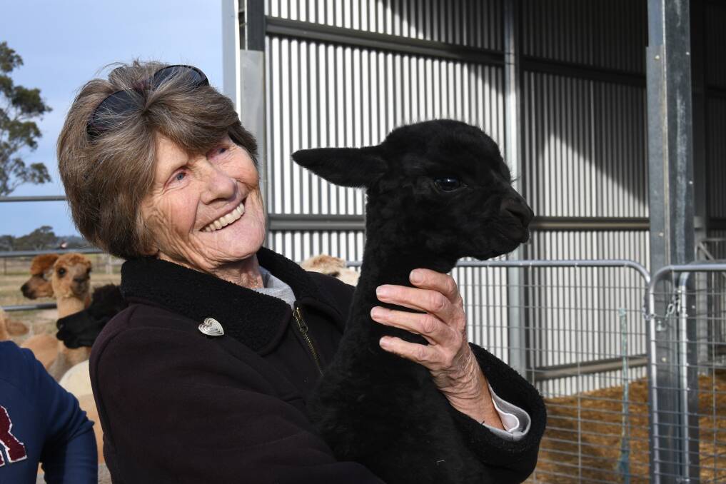 IN PHOTOS: An afternoon with alpacas for Sandra Sargent. 