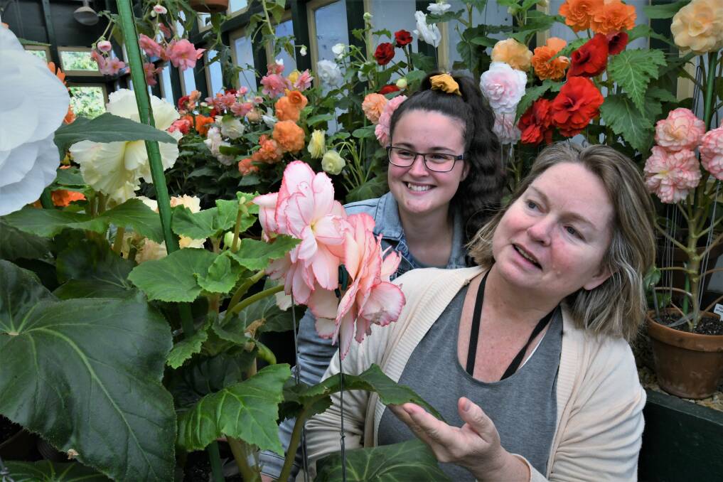BLOOMING LOVELY: Maddy Scott and Adele Kirkwood-Ryan, admiring the colour in the Begonia House on Tuesday. Photo: CHRIS SEABROOK 041321cbegonia1