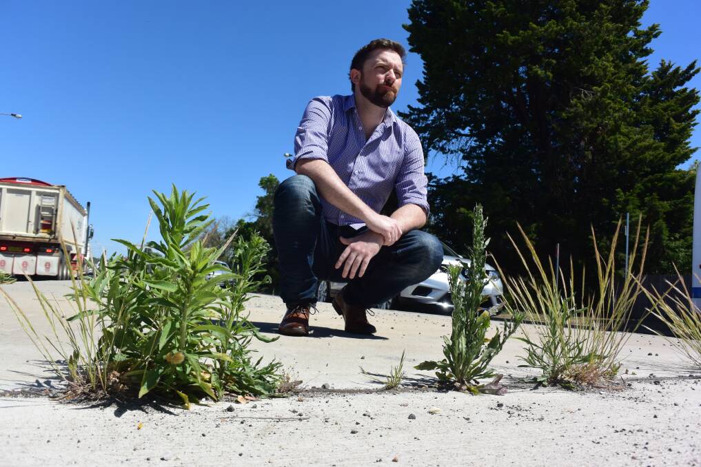 A BAD LOOK: Councillor Alex Christian shows the weeds that are growing out of a concrete divider on Sydney Road, one of the city's problem areas. Photo: RACHEL CHAMBERLAIN 102219rcweeds1
