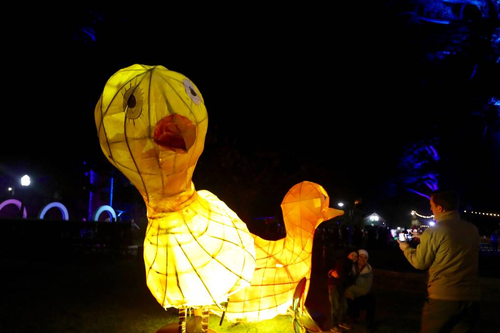 SNAPSHOT: Among the props people could use for their photos at the Bathurst Winter Festival were these ducks in the park. Photo: PHIL BLATCH