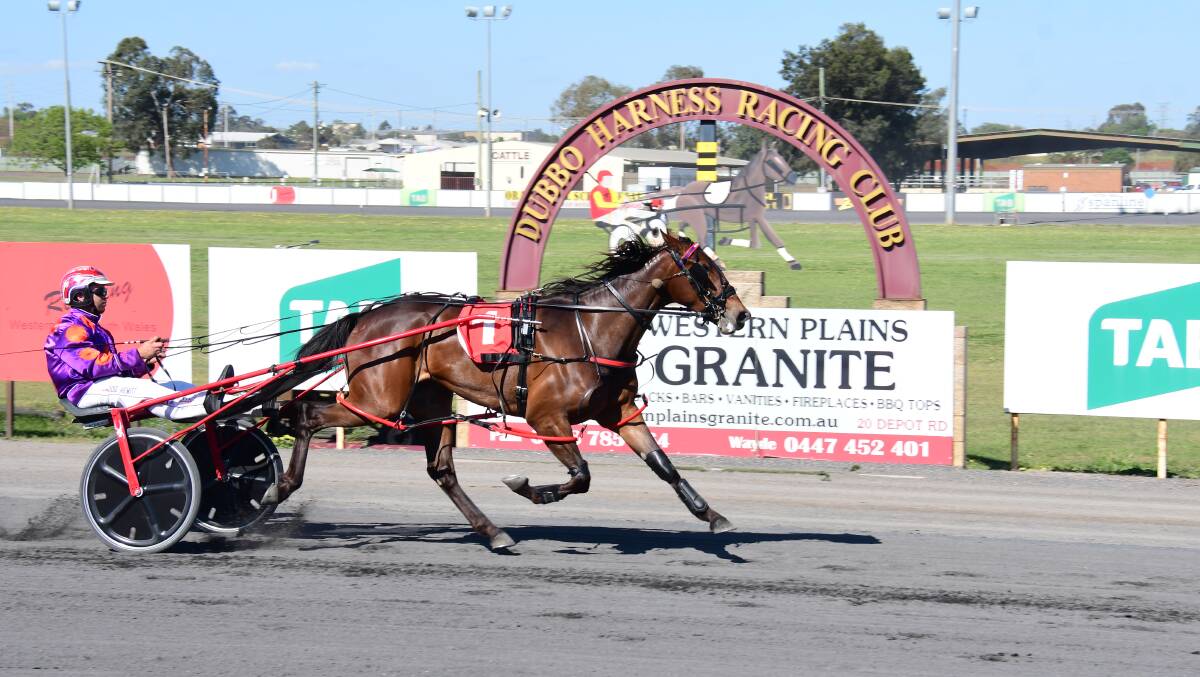 BARNSTORMING: Doug Hewitt and Infinity Beach thunder home to take out an emphatic win during Sunday's race meet in Dubbo. PHOTO: AMY MCINTYRE.