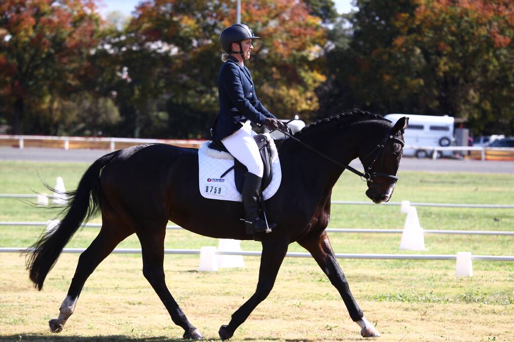 Strutting their stuff: Grace Day on Jazz Resemblance show the crowd how it is done in the dressage competition. Photo: Nadine Morton.