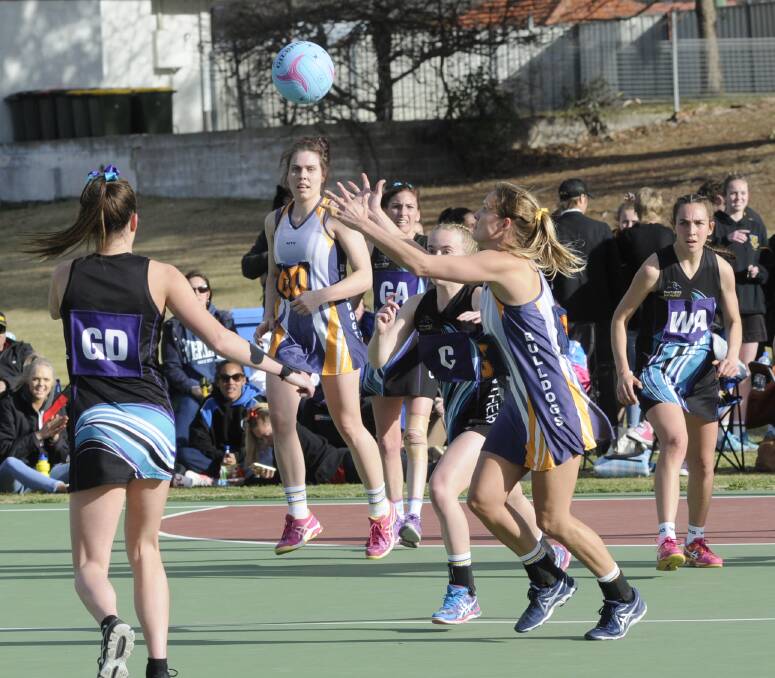 Any time of year: Sports such as netball, soccer and hockey are becoming more popular to play all year round with the addition of summer social competitions played in cool evenings or at indoor venues. Photo: Chris Seabrook.
