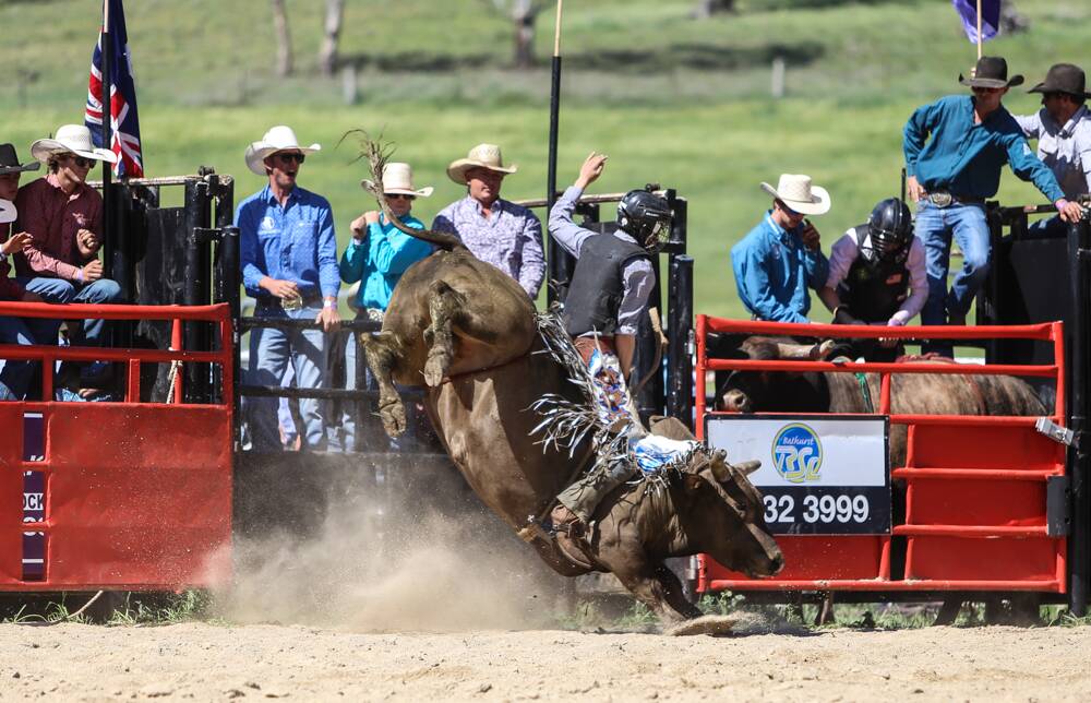 Eight seconds: It can seem like forever when you are sitting on the back of a bull. Photo: Supplied.