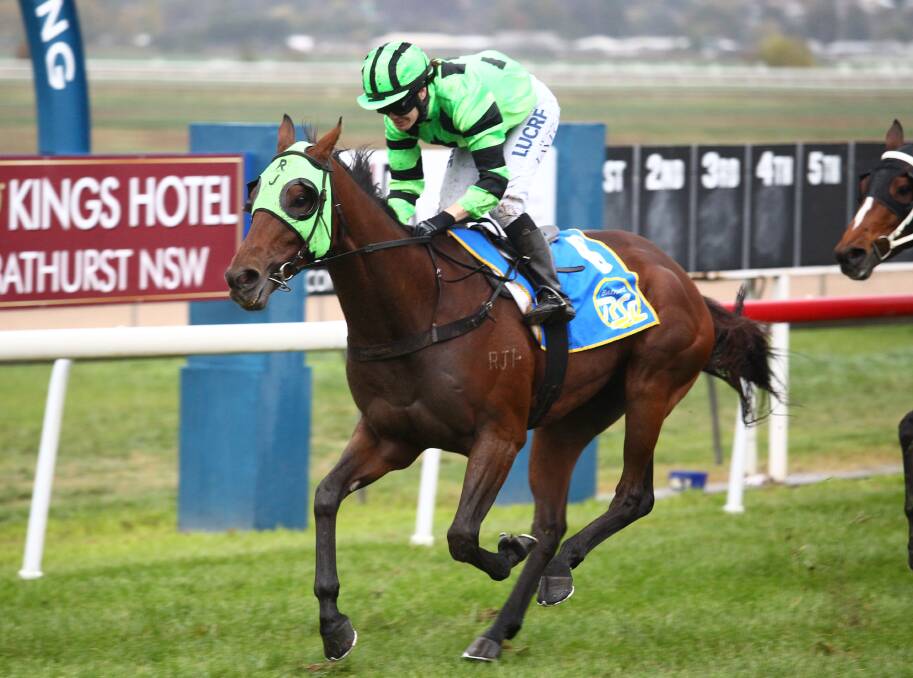 Racing royalty: Previous Soldier's Saddle winners include 2017 champion 'Elle A Walking'. Photo: Phil Blatch.