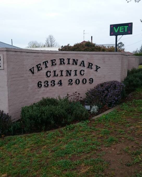 Durham Street Veterinary Clinic: Is a one stop shop for your pet, offering a wide range of services.