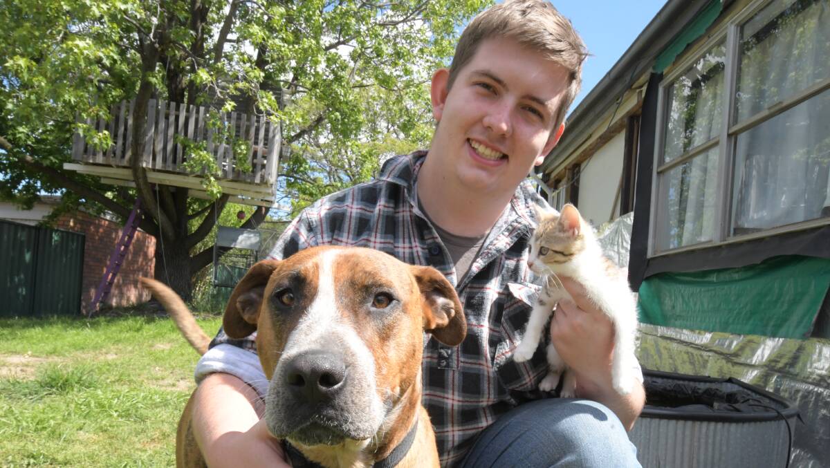 BRACING FOR BABY ANIMALS: Foster carer Ashley Lacey with his dog Reggie and Zena the kitten who was recently surrendered. PHOTO: JUDE KEOGH