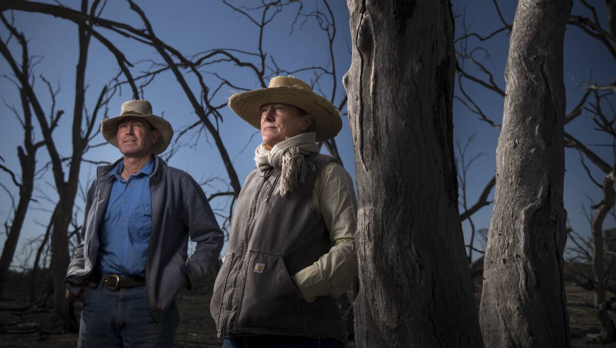 Garry and Leanne Hall, Angus beef cattle producers, on their land that includes part of the Macquarie Marshes.