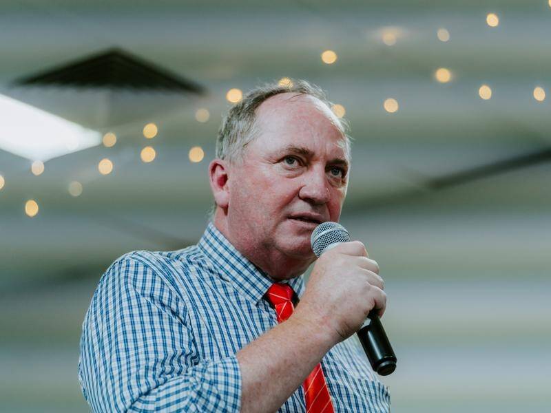 Barnaby Joyce says the federal budget's spending on regional Australia sets a new record.