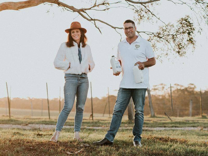Sallie Jones and Steve Ronalds have grown the Gippsland Jersey milk brand amid dairy industry woes.