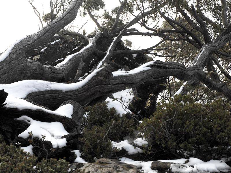 A cold front has brought snow falls to elevated areas of Hobart and Tasmania's central highlands.