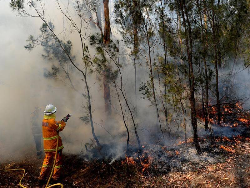 There are almost 100 bush and grass fires in NSW, including the "megafire" in the Hawkesbury region.