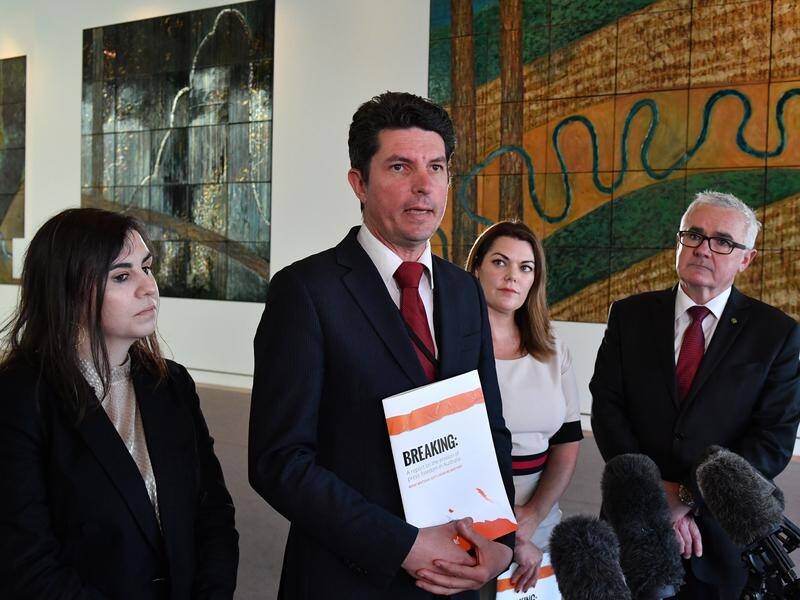 Former Greens senator Scott Ludlam says his report shows the heat has been turned on the media.