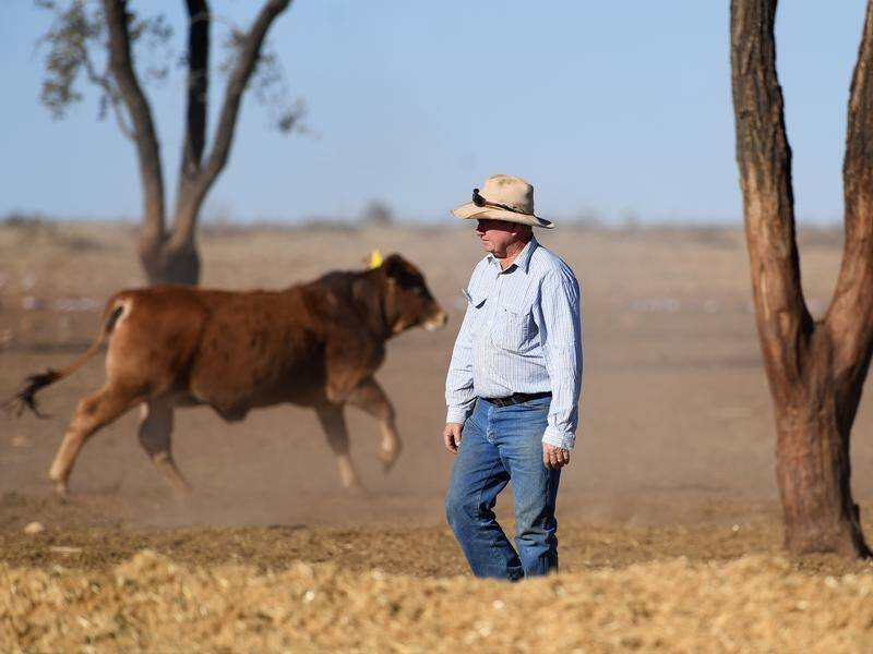 The ongoing drought has hit confidence in the rural and regional sector.