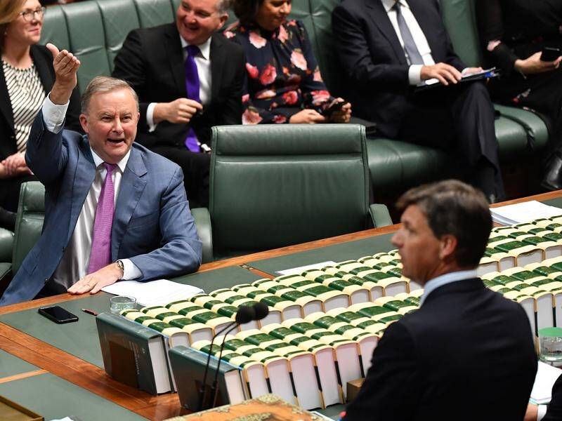 Labor leader Anthony Albanese questioned the coalition about Australia's annual carbon emissions.