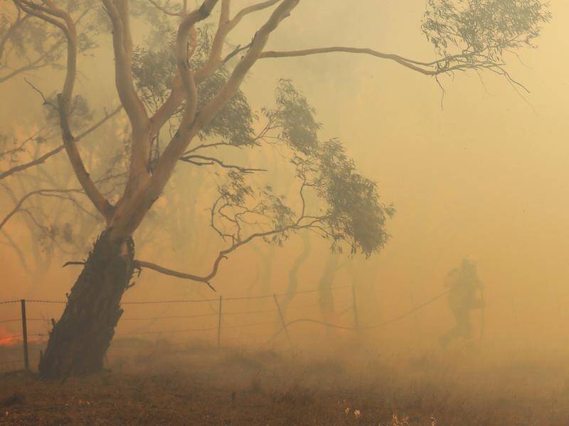 Some isolated communities had no warning of approaching bushfires, so they were unable to escape.