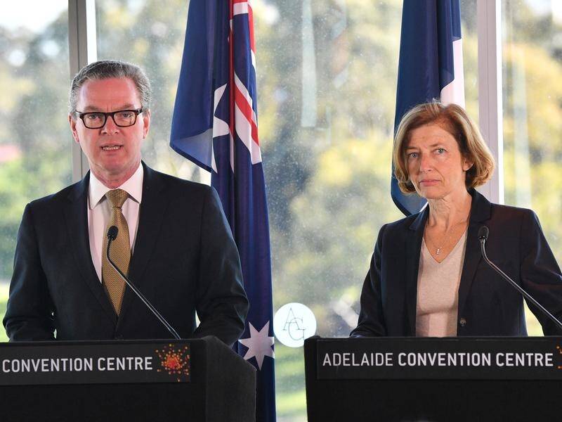French Armed Forces Minister Florence Parly and Christopher Pyne have discussed naval co-operation.