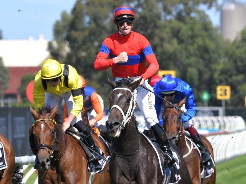 Hoop James McDonald is likely to be without a Melbourne Cup ride after Away He Goes was ruled out.