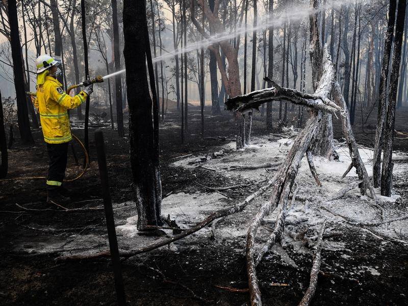 Authorities continue to investigate the cause of a 4000-hectare bushfire in Sydney's southwest.