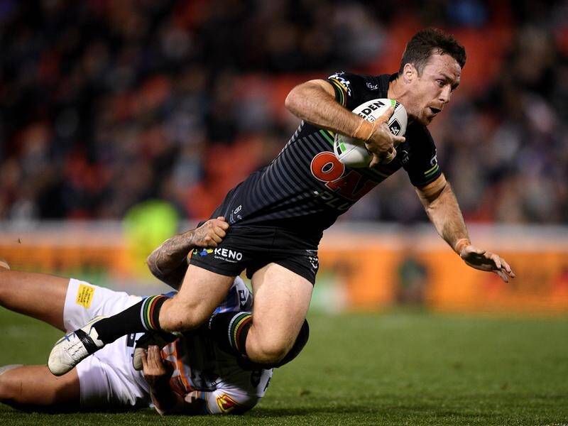 James Maloney set up two tries in a vintage performance in the Panthers' win over the Titans.