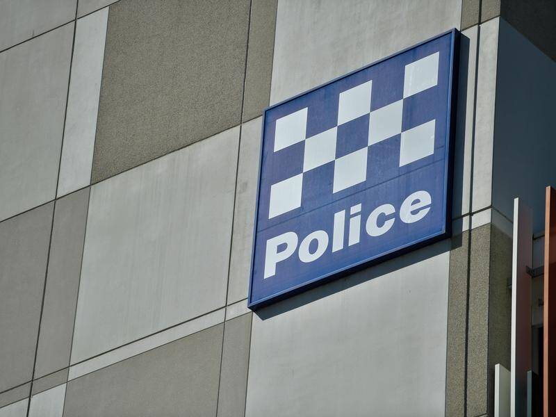 SA Police have arrested a driver who fled after crashing a stolen car and bringing down powerlines.