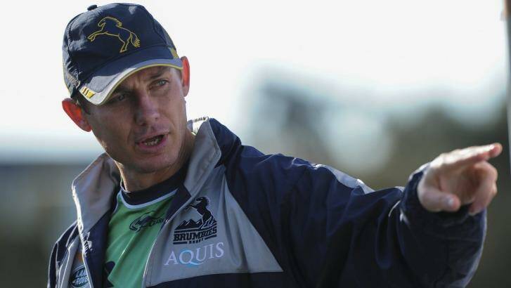 Stephen Larkham is on the verge of signing a new scrumhalf. Photo: Graham Tidy