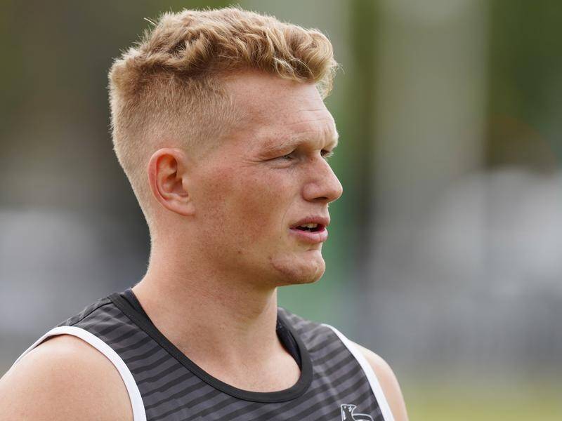 Adam Treloar's trade from Collingwood to the Western Bulldogs was pushed through last month.