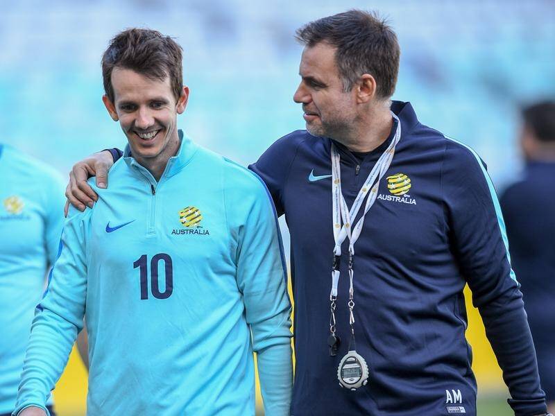 The FFA says Ante Milicic's wide experience will help him succeed as interim Matildas coach