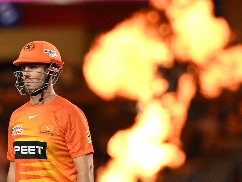 The Perth Scorchers are confident Mitch Marsh will be fit for the BBL decider.