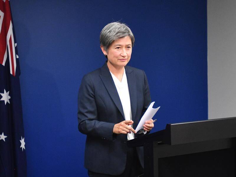 The government should have sought wider backing for a COVID-19 inquiry, Labor's Penny Wong says.