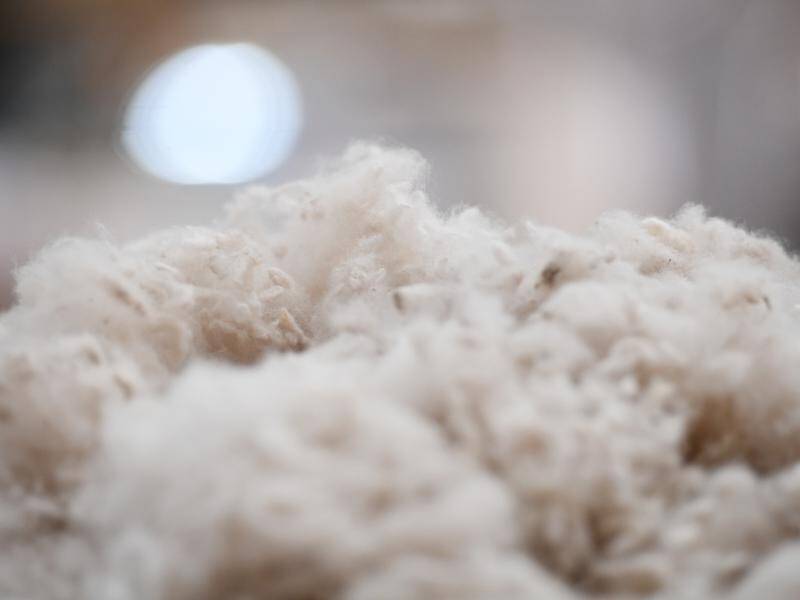 Wool helps keep the body in the "thermal comfort zone" most conducive to restful sleep, experts say.
