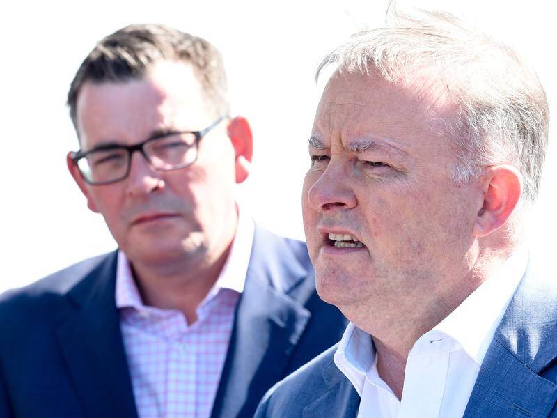 Anthony Albanese says the Libs have abandoned supporters in inner-Melbourne in an act of contempt.