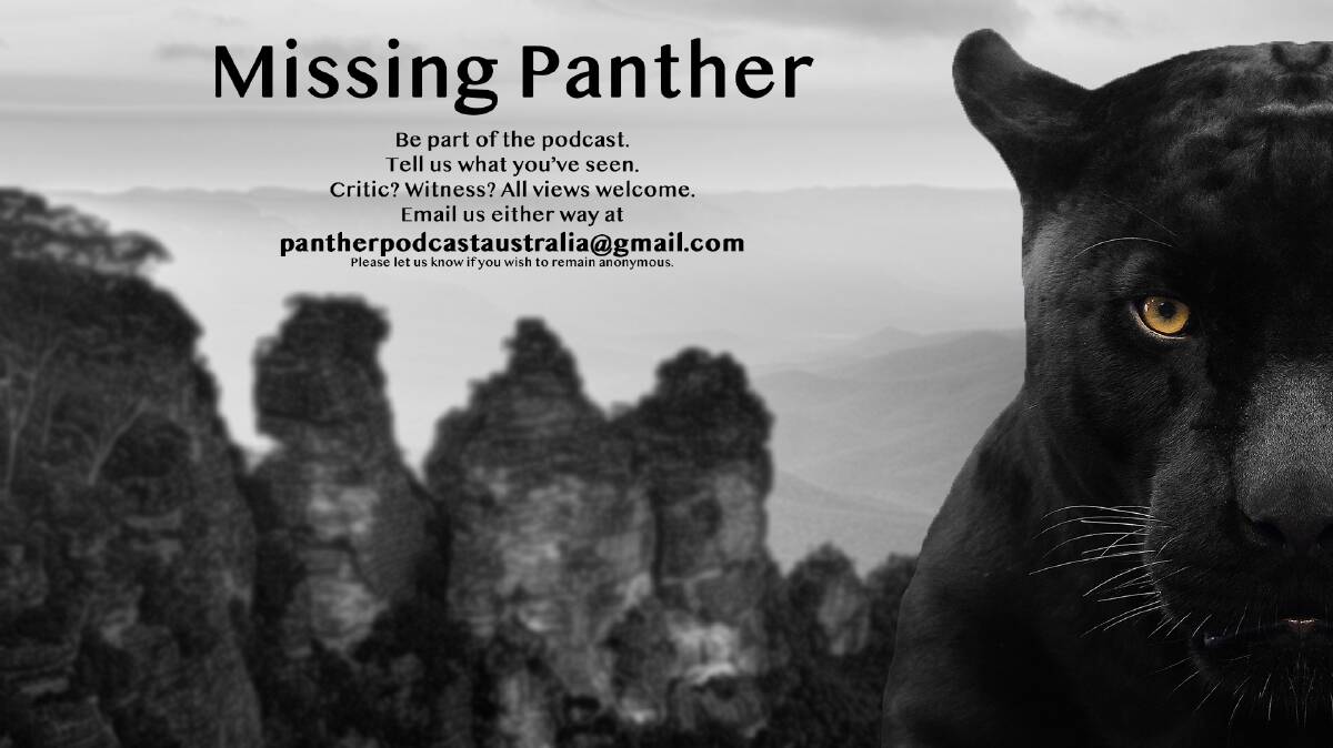 Sighted the Lithgow Panther? New podcast to investigate mystery