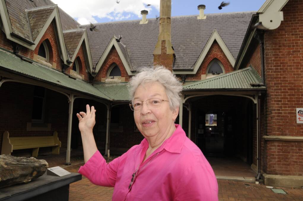 RATS OF THE SKY: Australian Fossil and Mineral Museum volunteer Dr Martha Gelin has grave concerns about the impact the ever-increasing pigeon population is having on the historic building in Howick Street. Photo: CHRIS SEABROOK	 122914cpidpoo