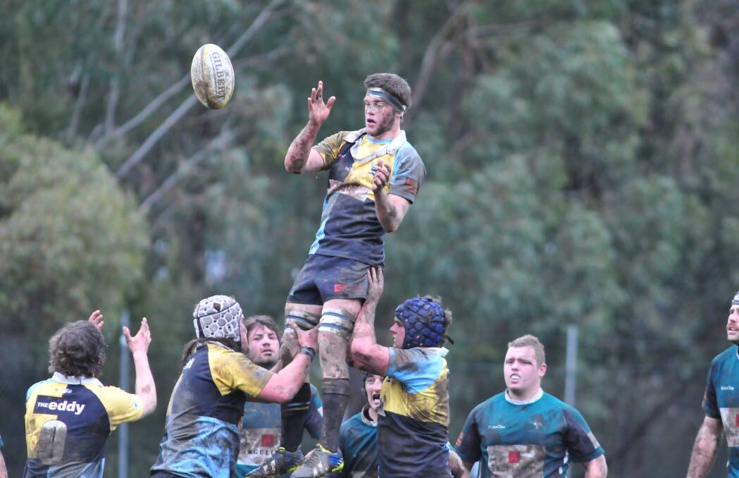 MUDDY HELL: CSU Bathurst’s Hugh Medway prepares to win a lineout in the students’ loss to Orange Emus on Saturday. Photo: JUDE KEOGH 	0628emus18
