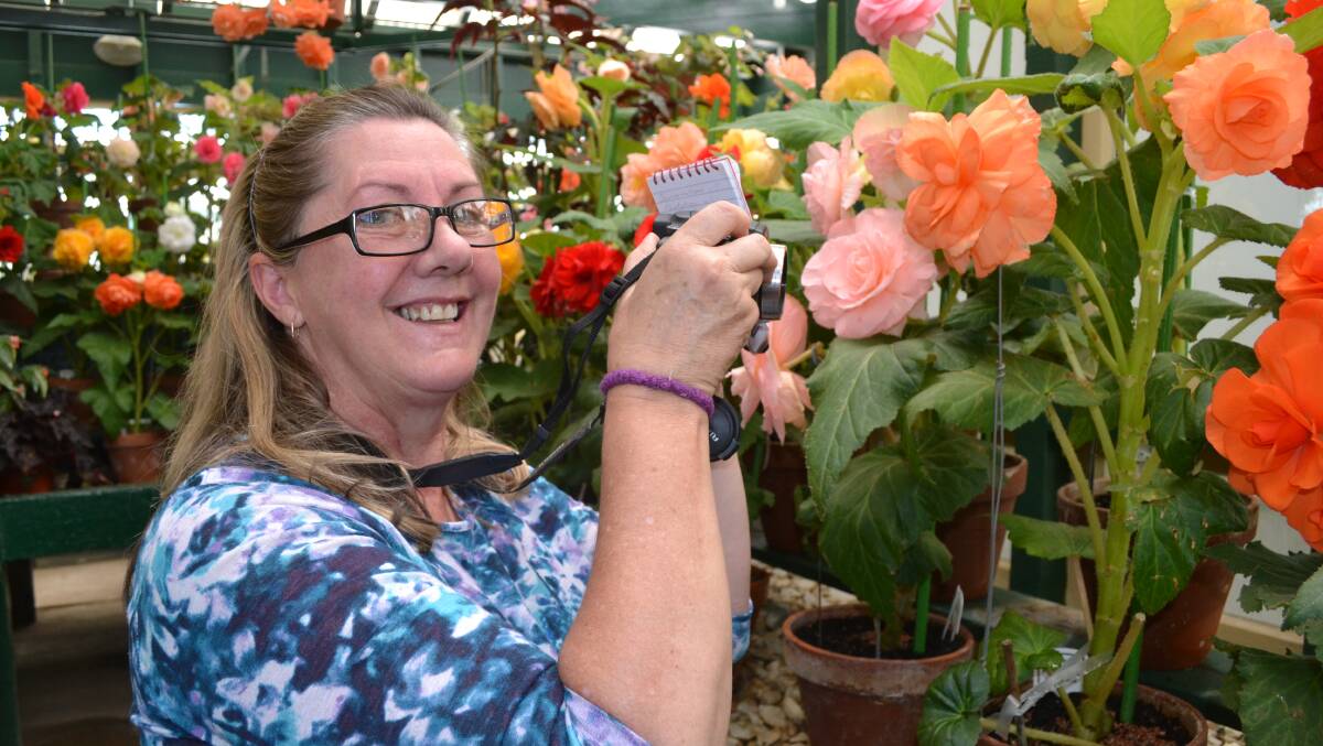 BLOOMING LOVELY: Delia Harrison from Raglan in the Begonia House. Photo: BRIAN WOOD   	030916bloom