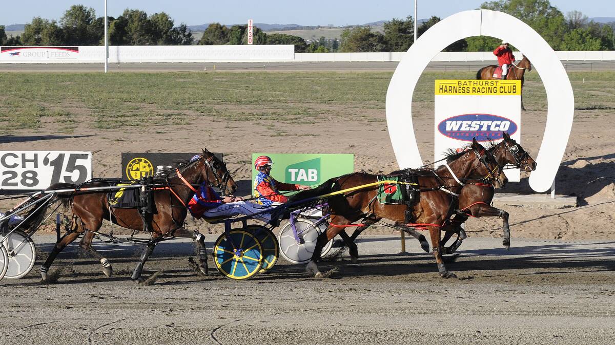 JUST GOT THERE: Bernie Hewitt drives home Regal Point (inside track) to win by a short half head over Keep on Moving (#6, driven by Mitch Turnbull). Photo: CHRIS SEABROOK 102914ctrots1