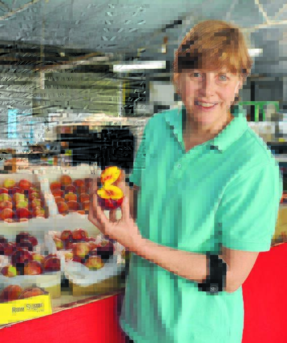 RISKS: Yarralee Orchard owner Gerbina Gordon said there can be risks for consumers when food is imported from some overseas countries. Photo: ZENIO LAPKA 021915zhep