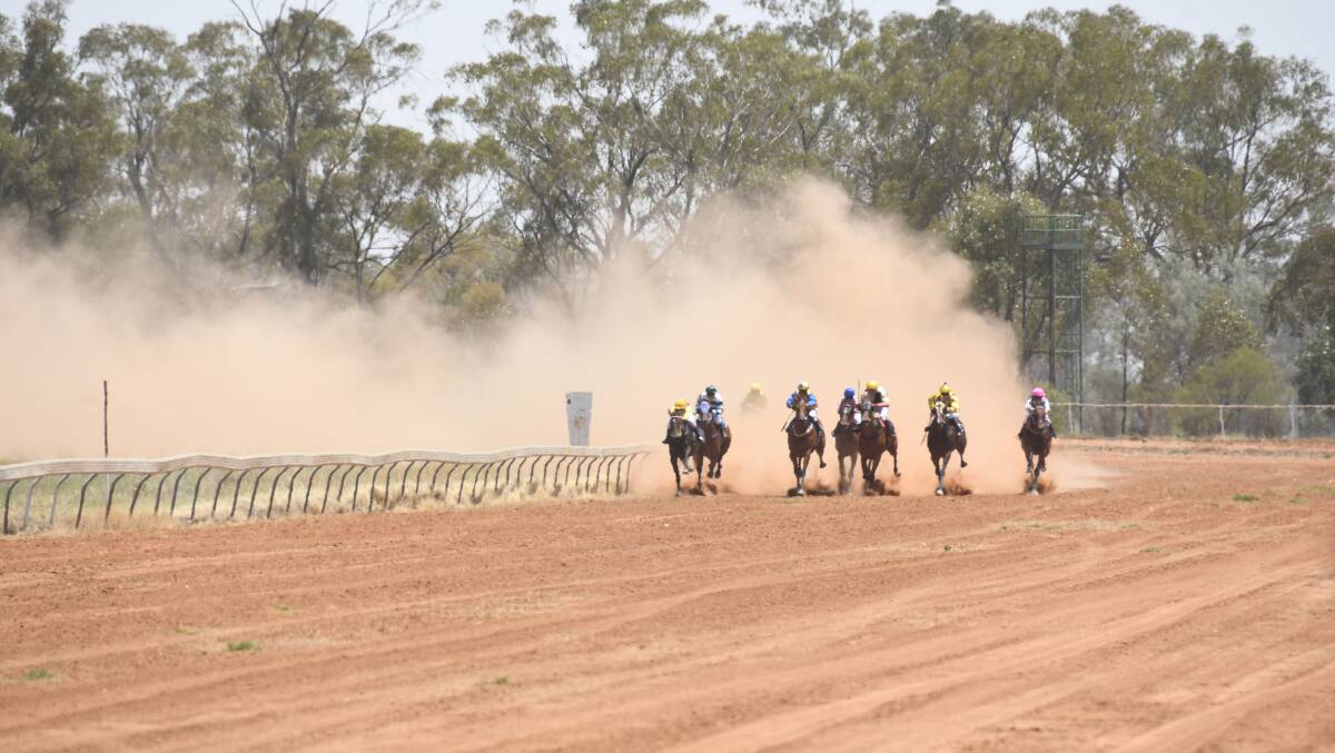 About 2500 people attended the Trangie races at the weekend. Photo: AMY McINTYRE
