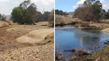 The same stretch of the Winburndale Rivulet pictured in January 2020 [left] and June 2021 [right]. Pictures: Supplied