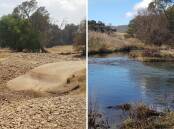 The same stretch of the Winburndale Rivulet pictured in January 2020 [left] and June 2021 [right]. Pictures: Supplied