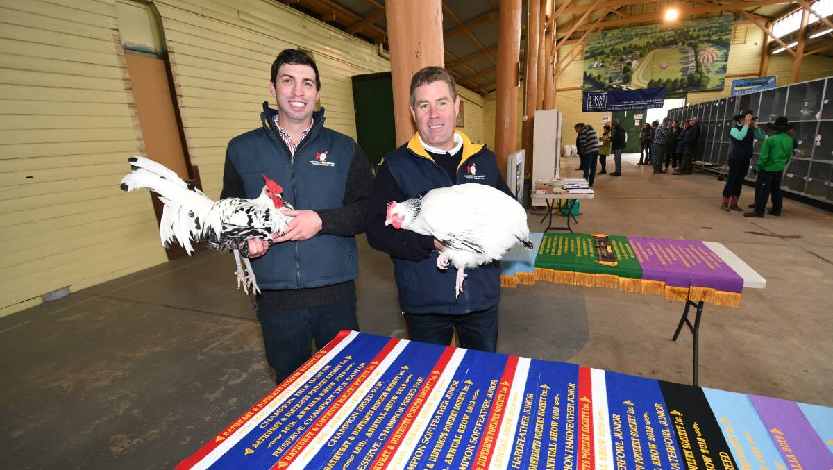 BIRDS OF A FEATHER: Bathurst and District Poultry Society secretary Clayton Kirkham and president Michael Lane. Photo: CHRIS SEABROOK