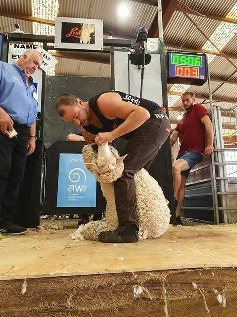 TIME FOR A SHAVE: Nathan Mullins competing at the National Shearing and Woolhandling Championships at Dubbo last weekend. Photo: SUPPLIED