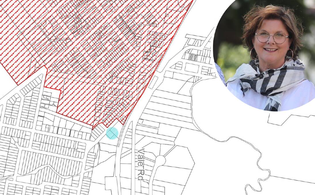 METRES AWAY: Bathurst councillor Margaret Hogan [inset] said the location of the Bant Street oaks [blue dot] lies outside council's Heritage Conservation Area [red zone, where tree preservation policies are in place] on private land. 