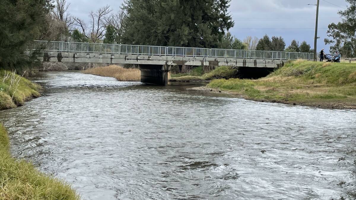 The Wambuul-Macquarie River pictured around 3pm Sunday afternoon. The Bureau of Meteorology says the river may hit 4.5 metres by 8am Monday morning.