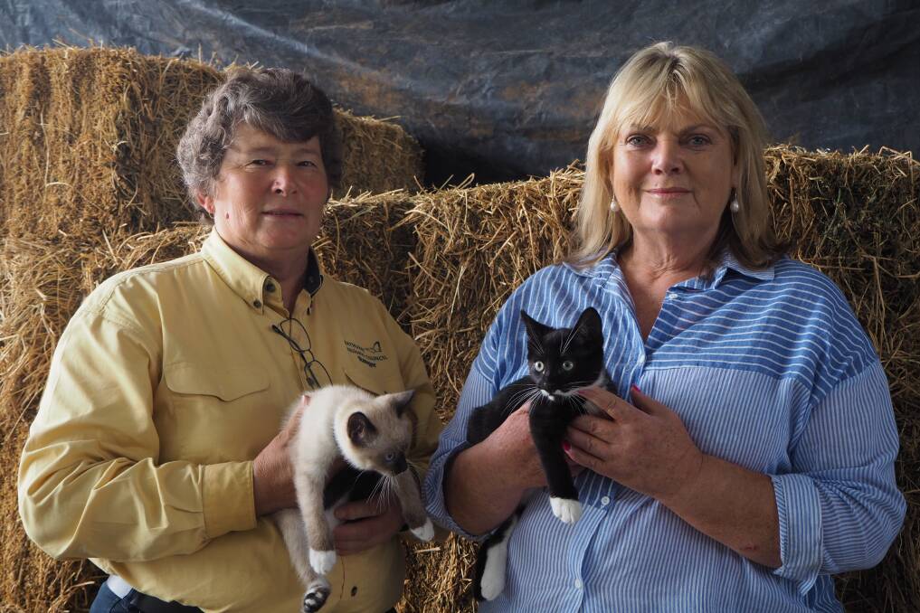 PURRFECT: Margaret Gaal and Vicki Wilson are Bathurst's latest additions to the NSW Government's Hidden Treasures Honour Roll. Photo: SAM BOLT 010819sbcats2